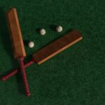 Cricket bat placeholder photo — pending real product photography
