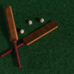 Cricket bat placeholder photo — pending real product photography