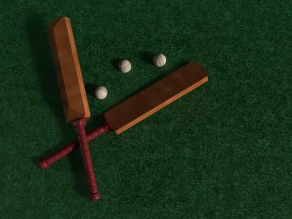 Cricket bat placeholder photo — pending real product photography